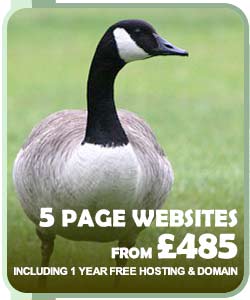 5 Page Websites from £375