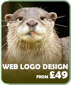 Web logo design from £49
